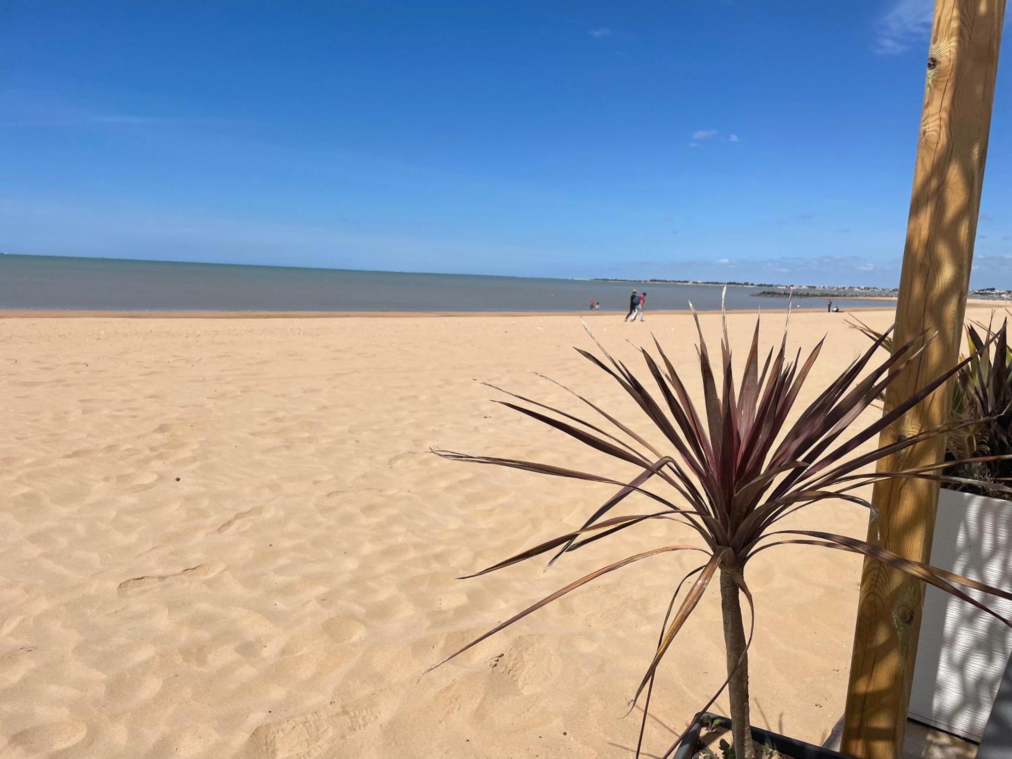 Acadie Saint Victor - Hotel Restaurant - Face Mer - Chatelaillon Plage Kültér fotó